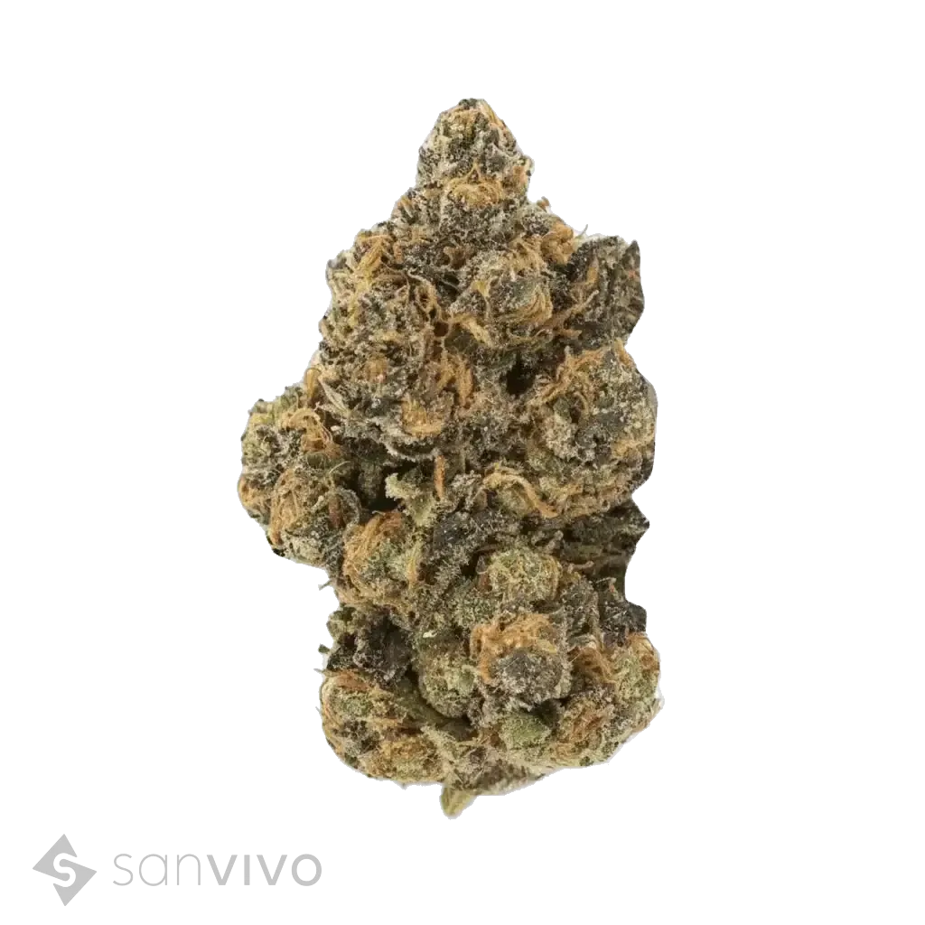 Candyland strain