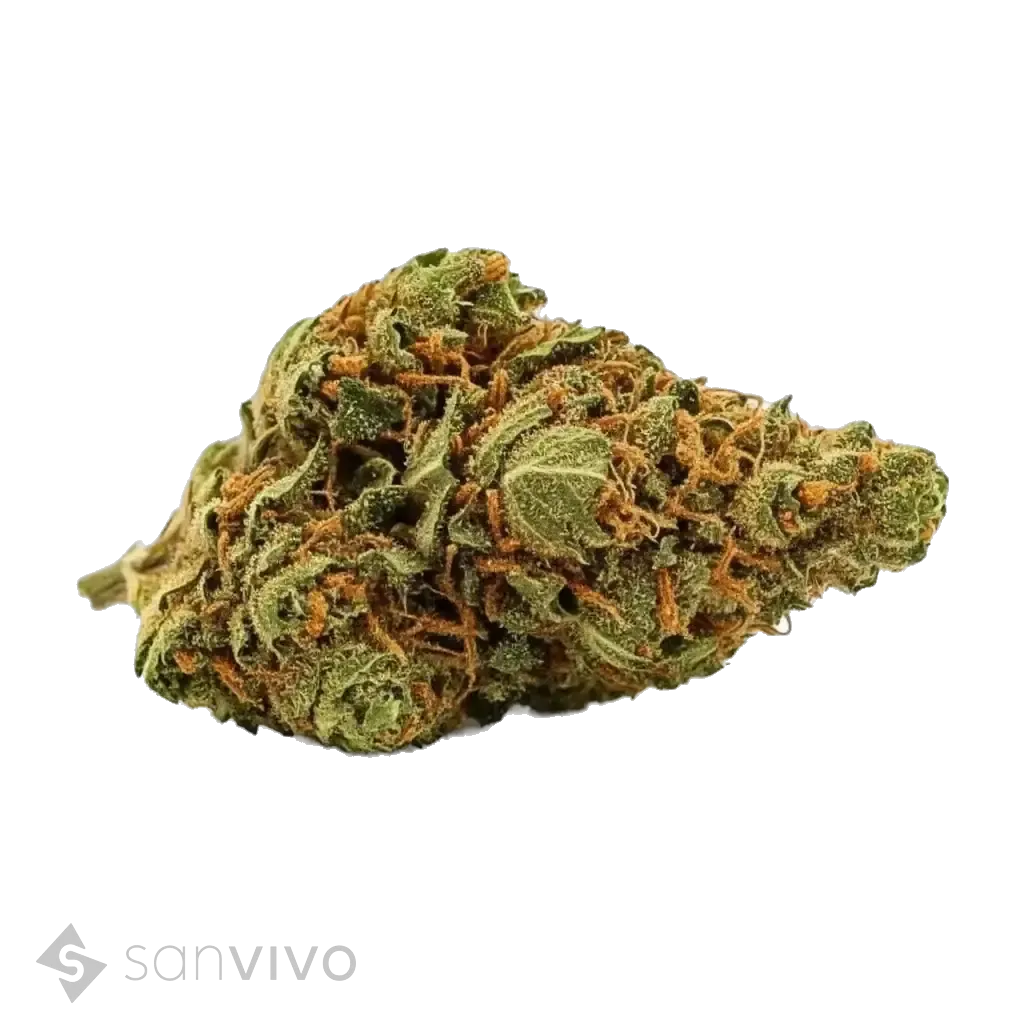Canopy LSK 18