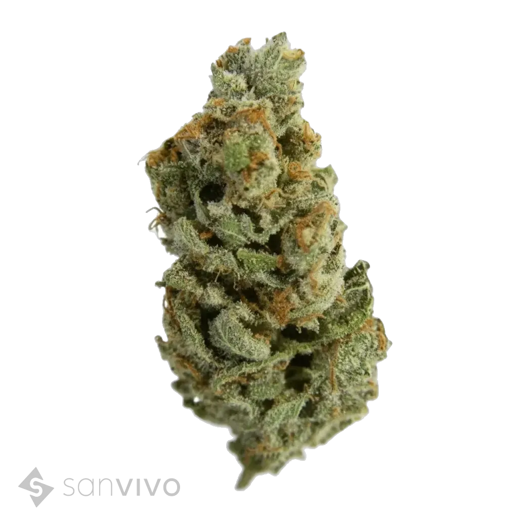 Casey Jones strain
