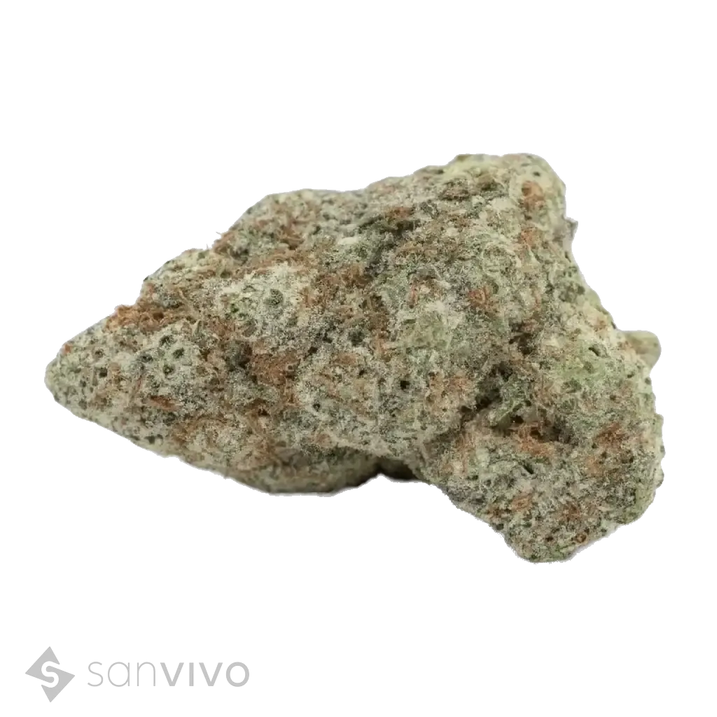 All Nations GM-104 (DEAKTIVIERT)