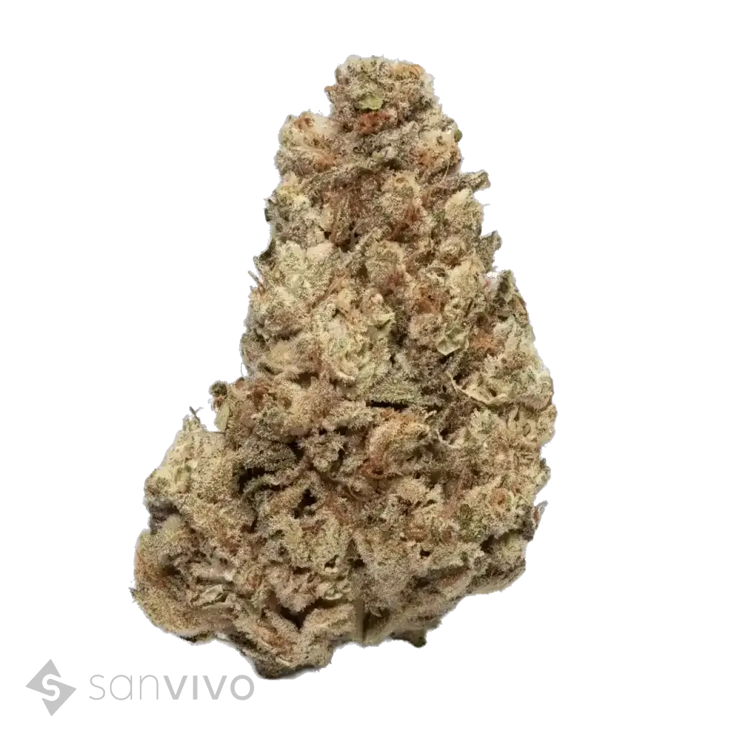 Cold Creek Kush strain