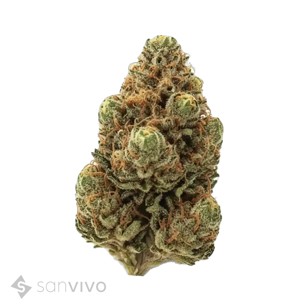 Strawberry Cake strain