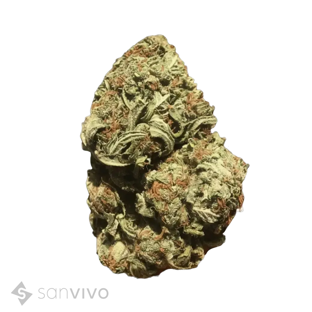 CM Hybrid Classic URYWhite Gorilla