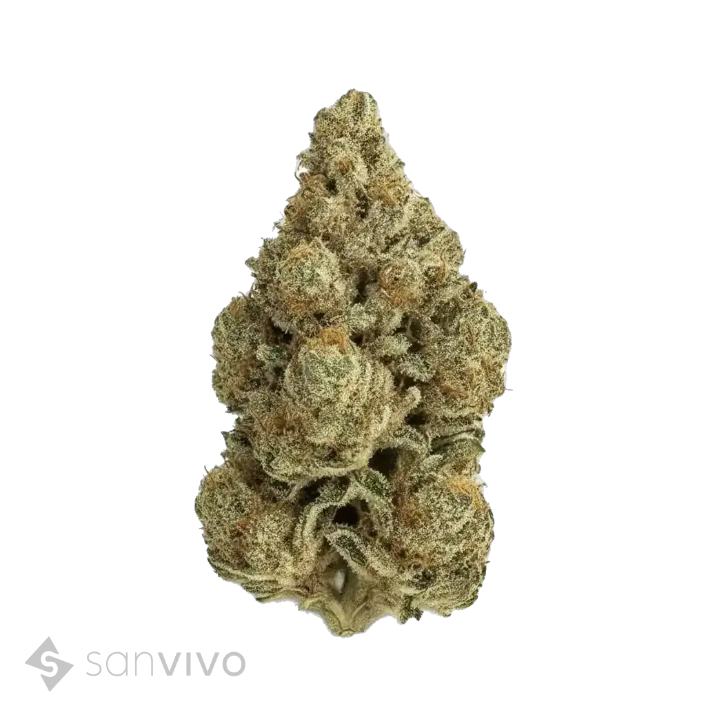 Banana Gas strain