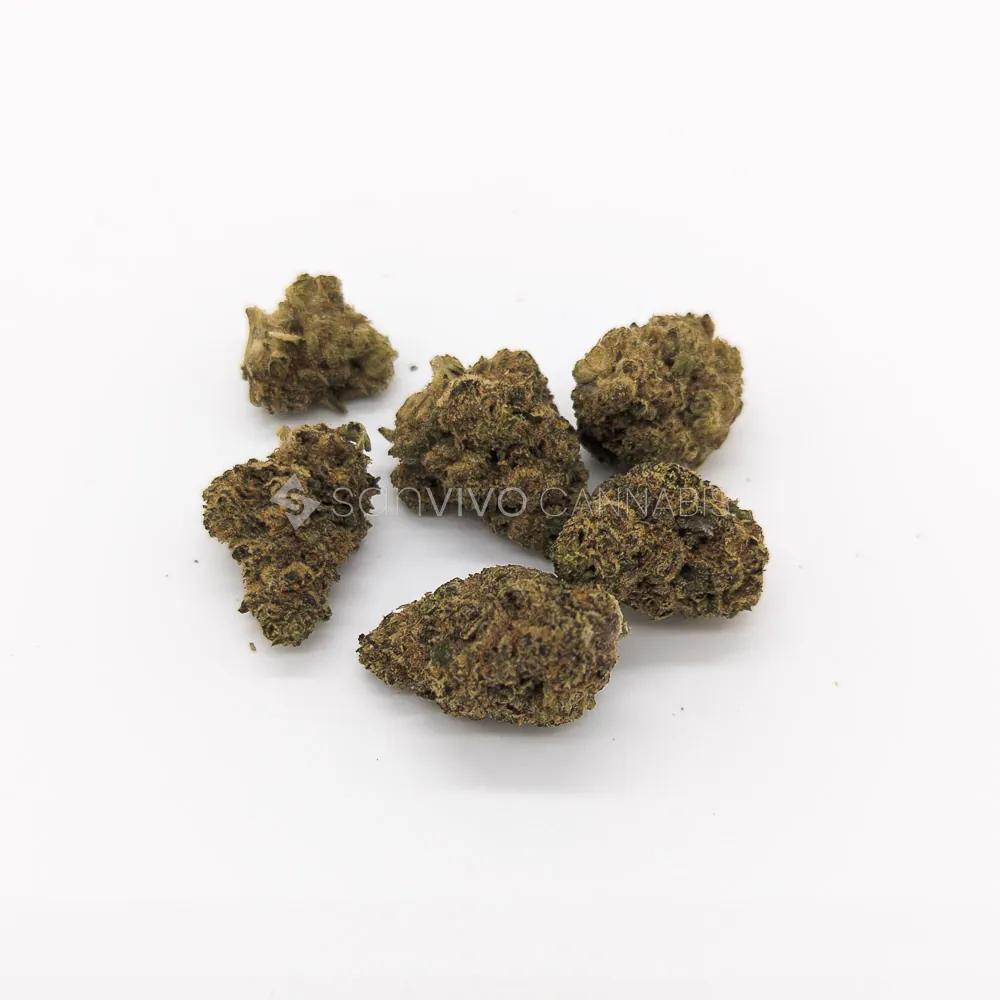 Canopy KMI 28Kush Mint
