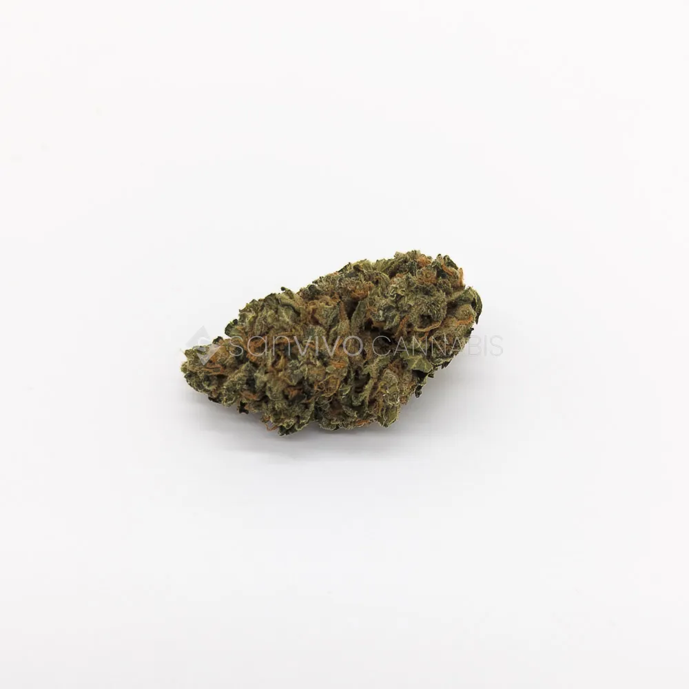 Khiron G23/1Gelato 42
