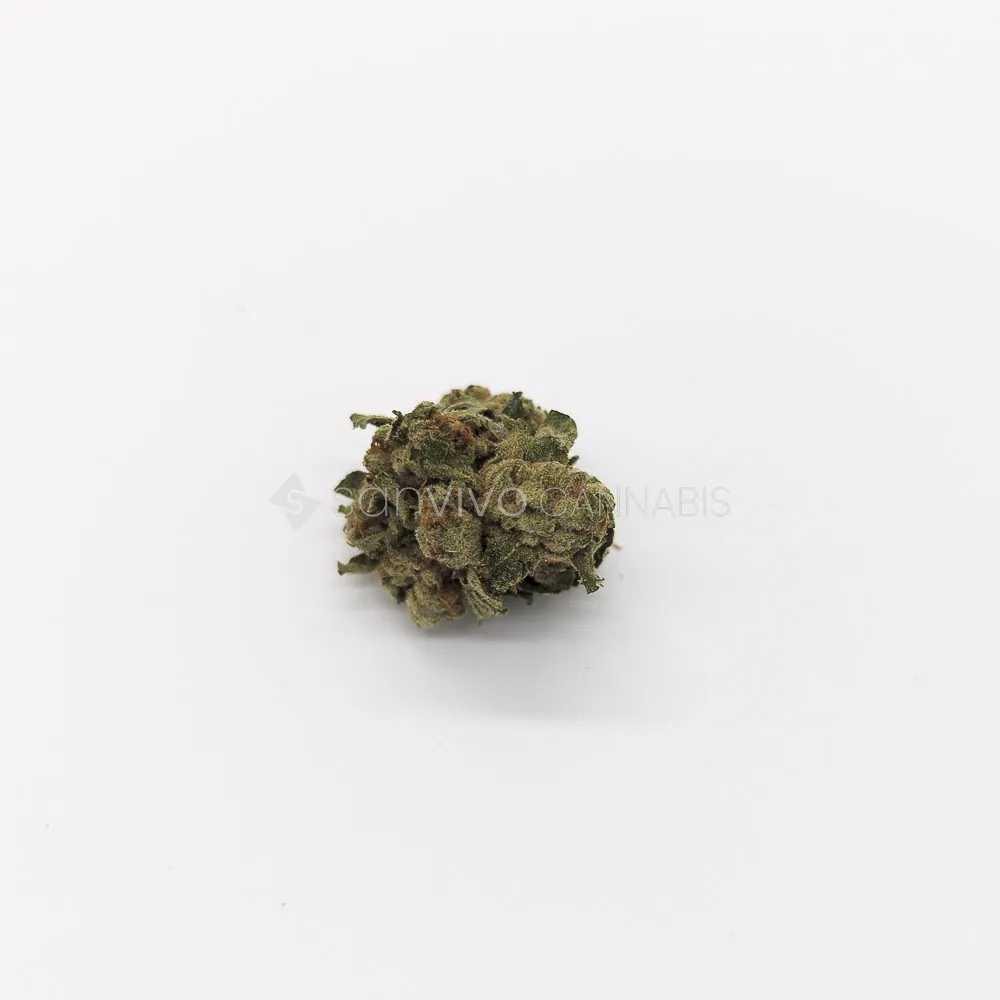 Remexian 28/1Godfather OG X