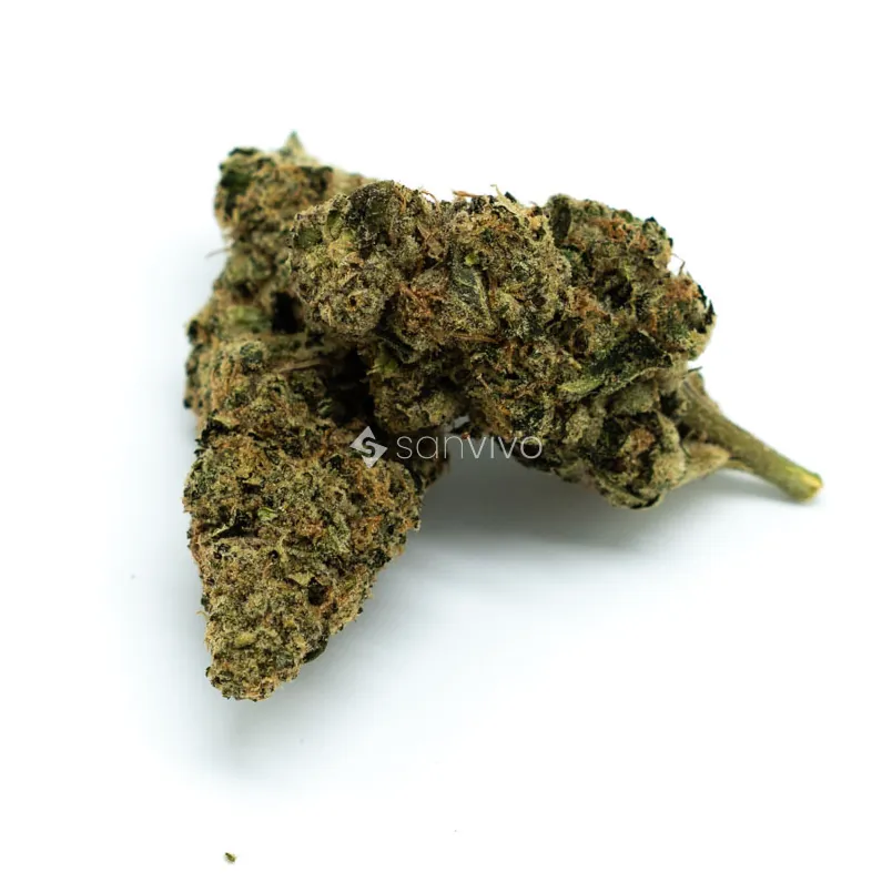 CM Sativa ultra NMPolar Cookies