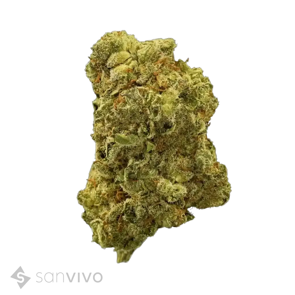 MAC 2.0 strain