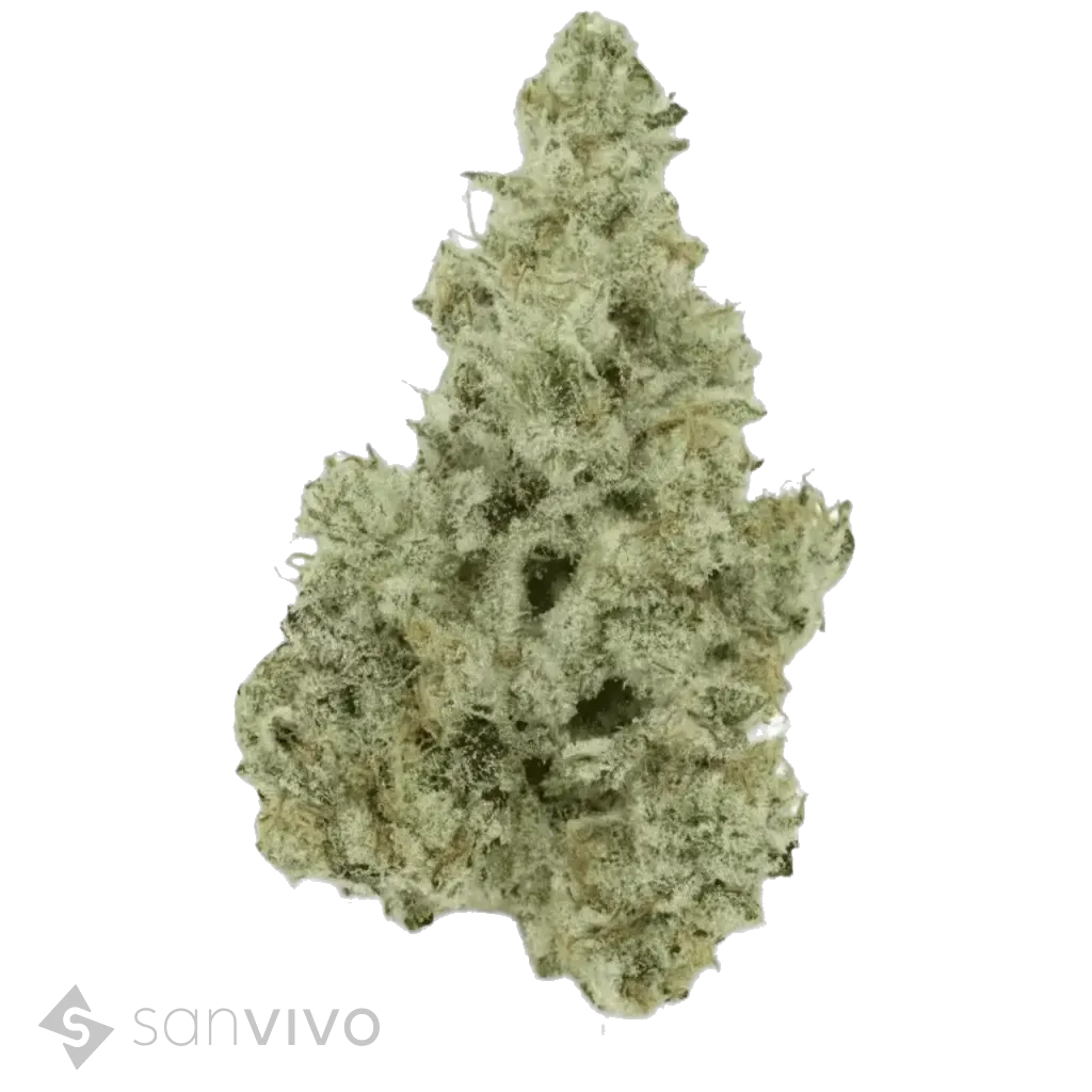 Miracle Mints strain