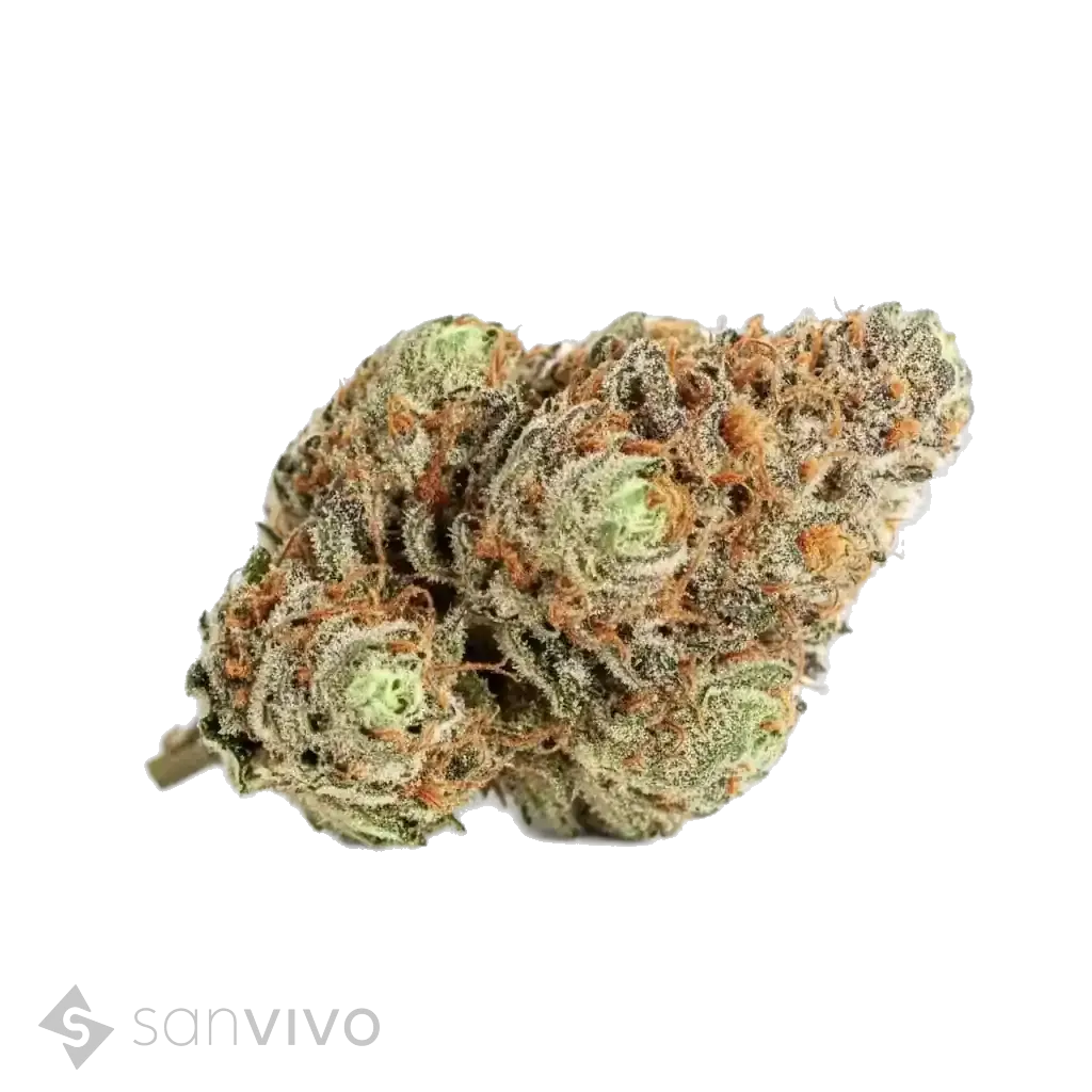 Tilray THC15 Spotlight Porto