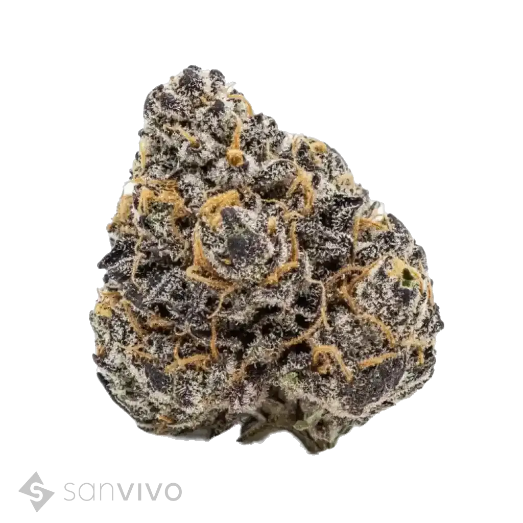 Velvet Glove strain