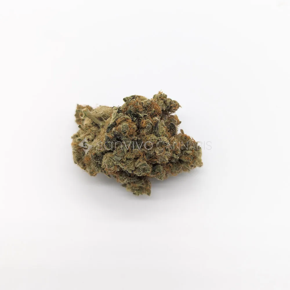 Remexian 30/1 HEGHelios Gold 
