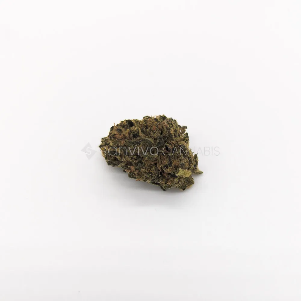 Canopy Bakerstreet 20Hindu Kush 