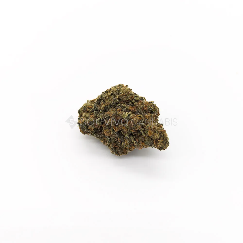 CM 24/1 BRYStrawberry OG