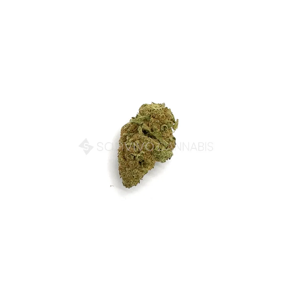 Madrecan 18/1 - GRDGranddaddy OG