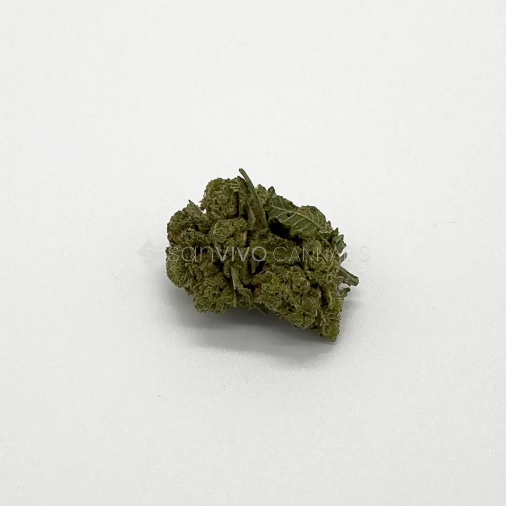 Remexian 16/1 Nordle