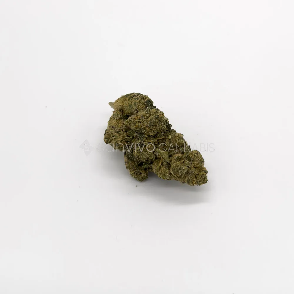 LOT 420 LEM PTLemonatti