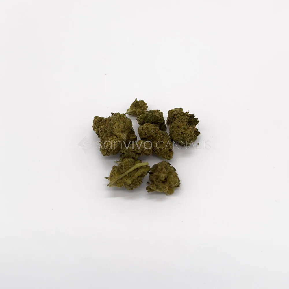 CM Indica classic URYCheddar Skunk 