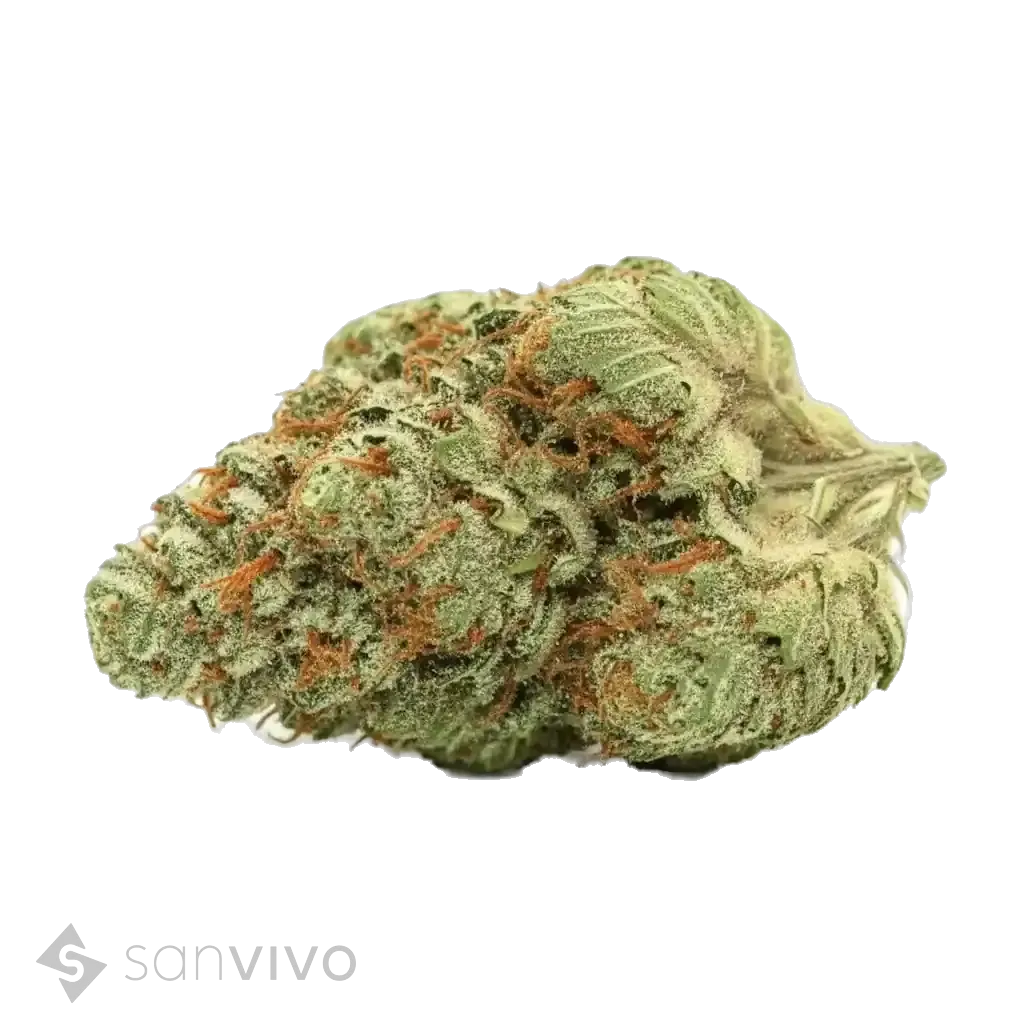 Black Cherry Pie strain