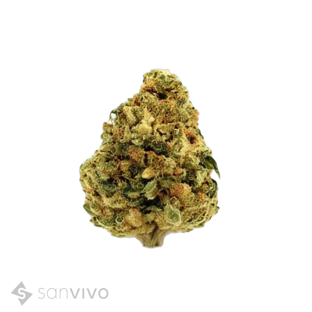 Cannabis 23/1 PRT