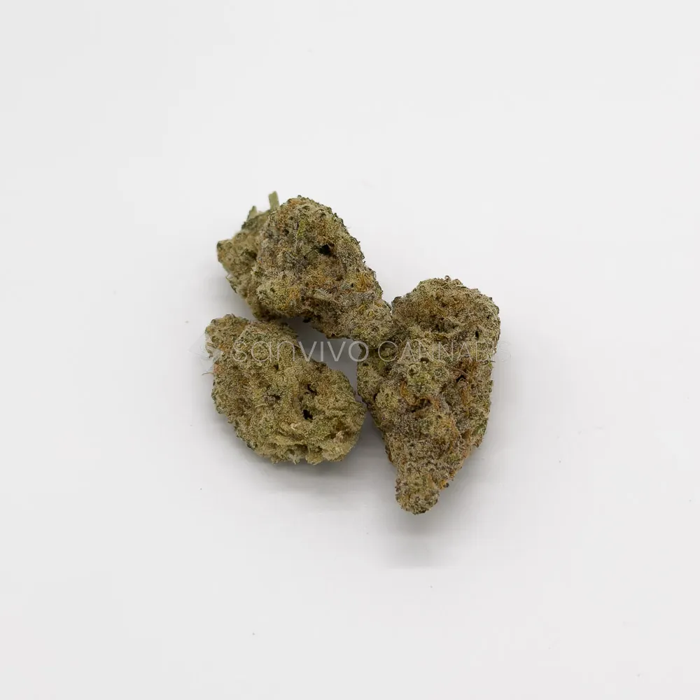 All Nations MD PTMac Daddy