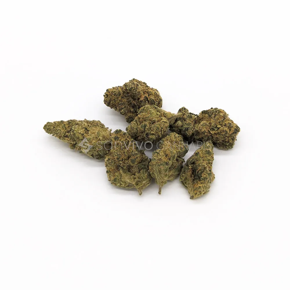 29/1 Peace Naturals GCGMO Cookies 