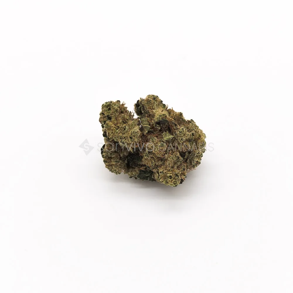 CM Hybrid Ultra DK Ghost Train Haze 