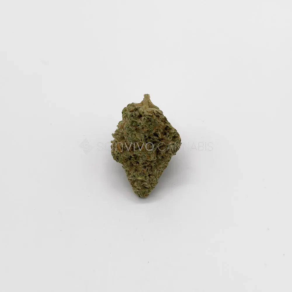 Khiron SCD 25/1Sour Chocolate Diesel 