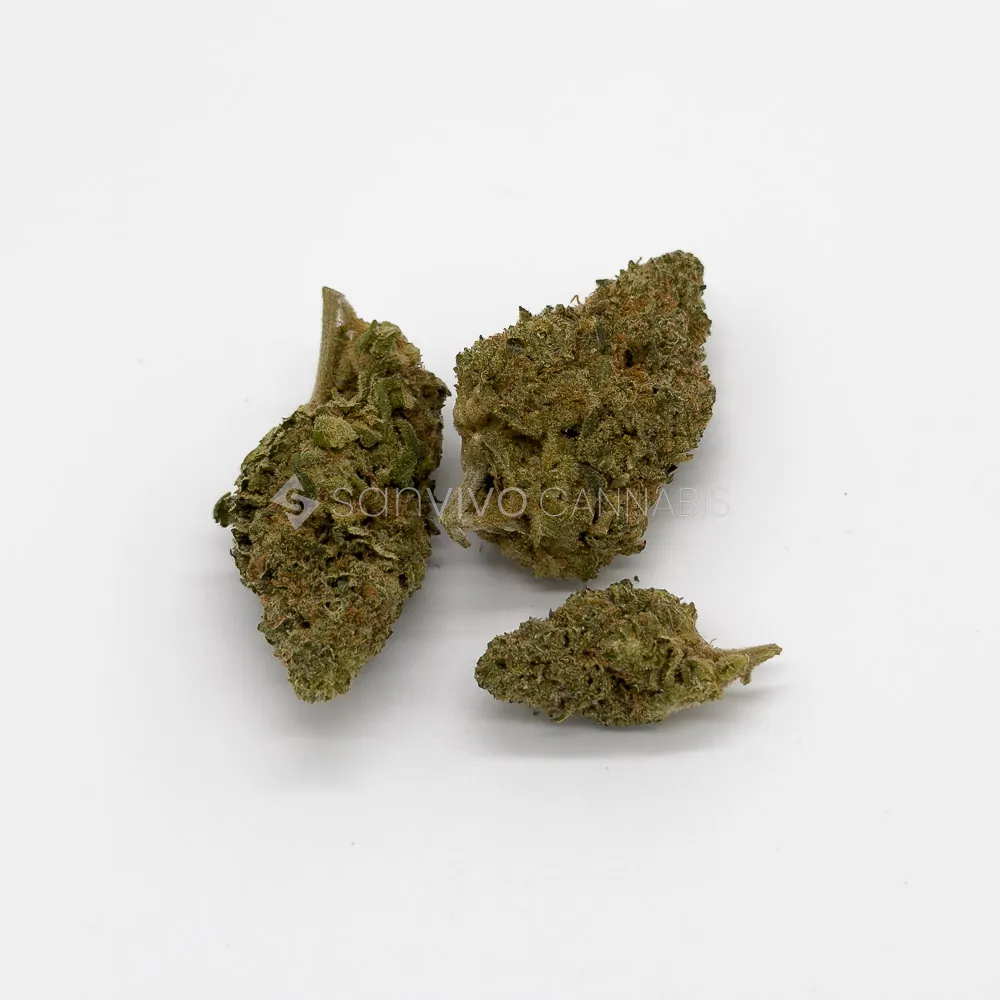 CM Hybrid Classic NM - BHBBlueberry Headband 
