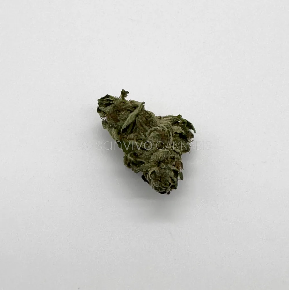 Navcora THC 18 (MK)Master Kush 