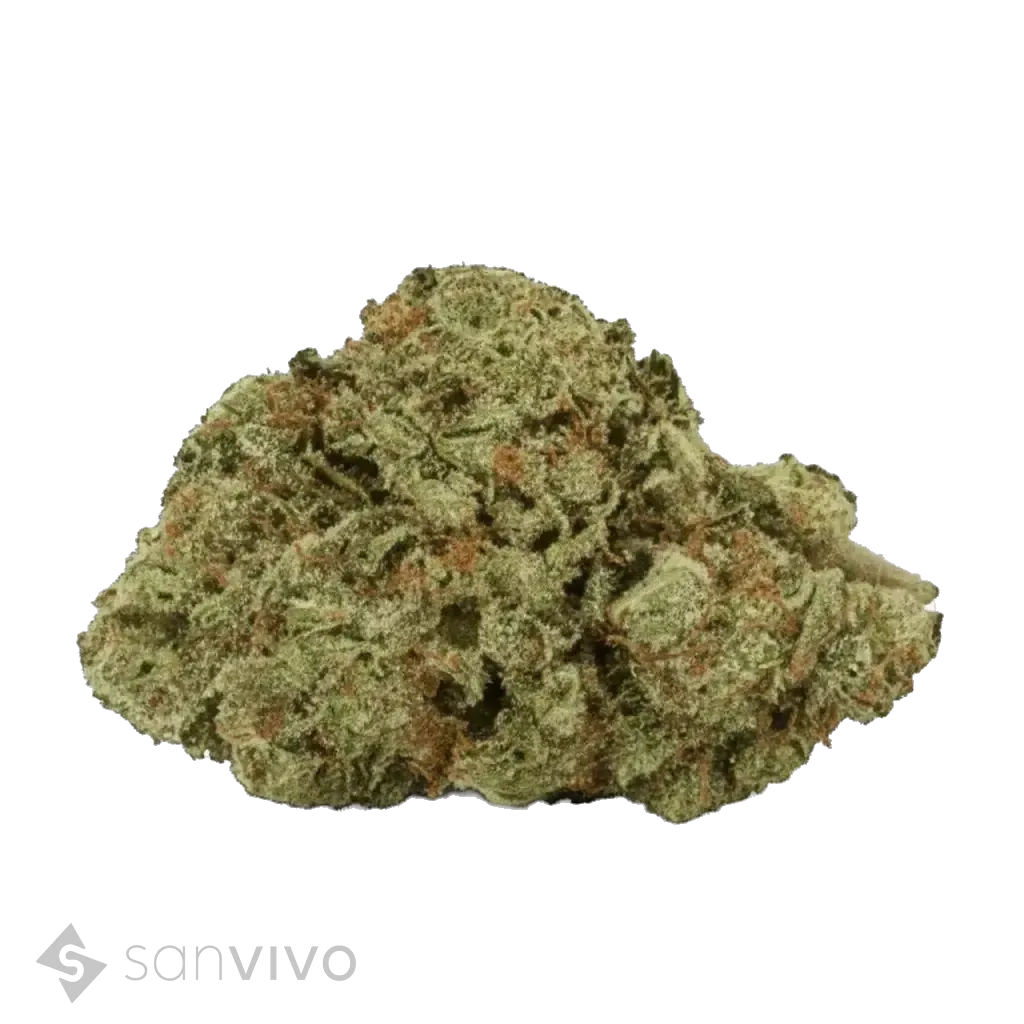 Detroit Runtz strain