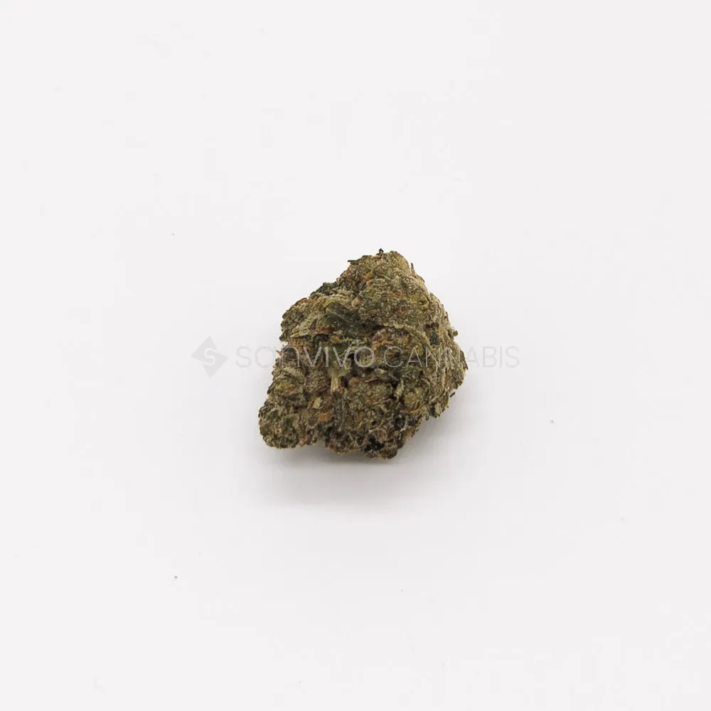 Ceres No. 3Space Dust 