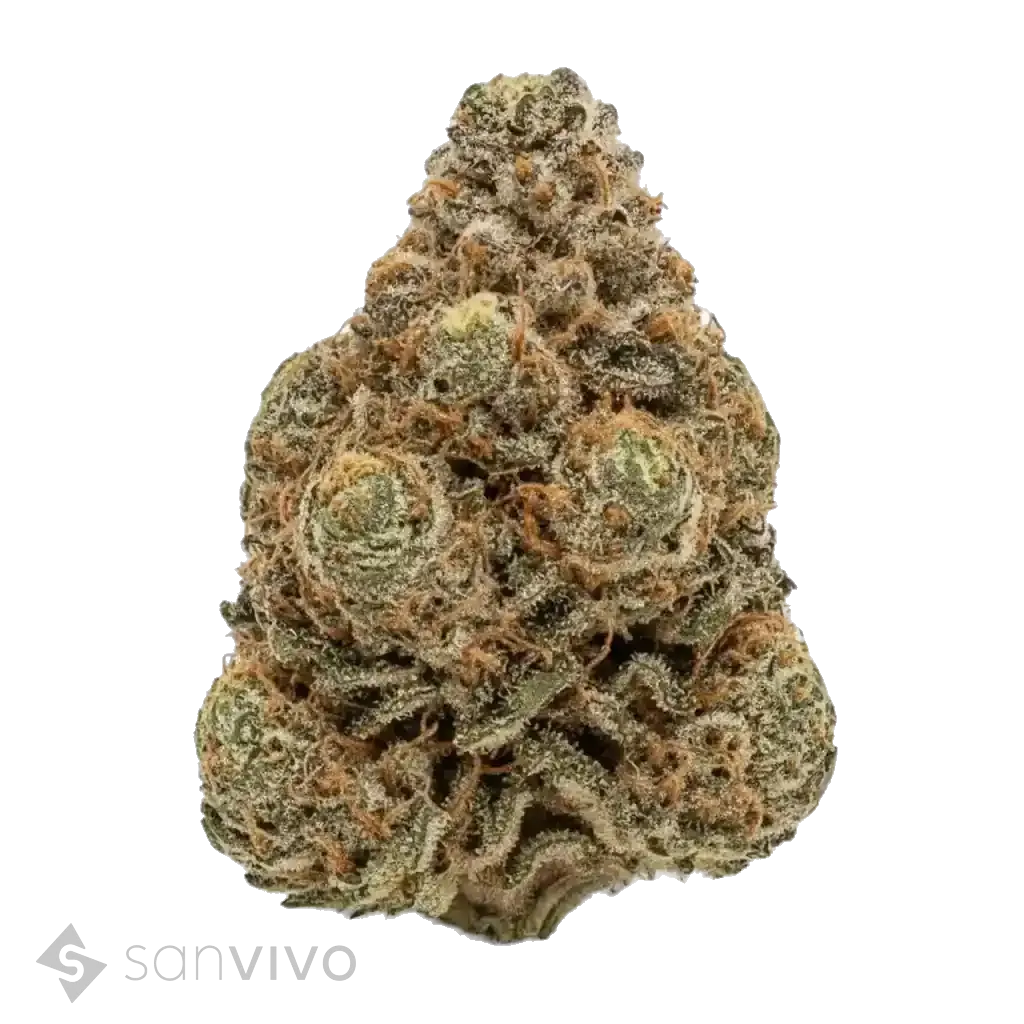 Blue-Z strain