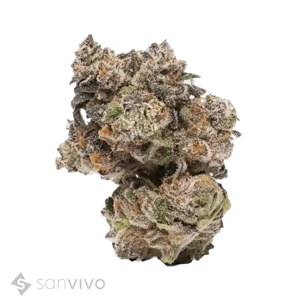 Hawaiian Rain strain