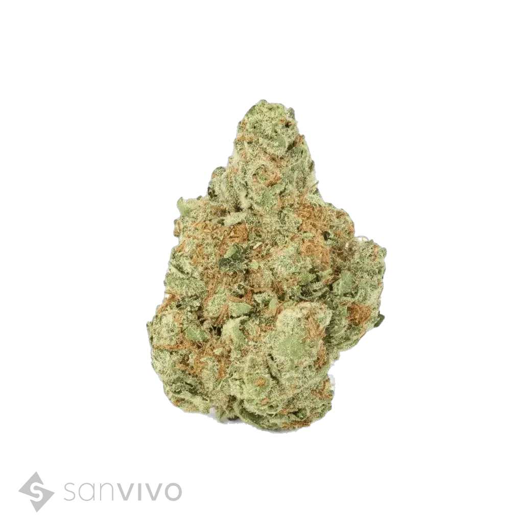 Tangie Chem strain
