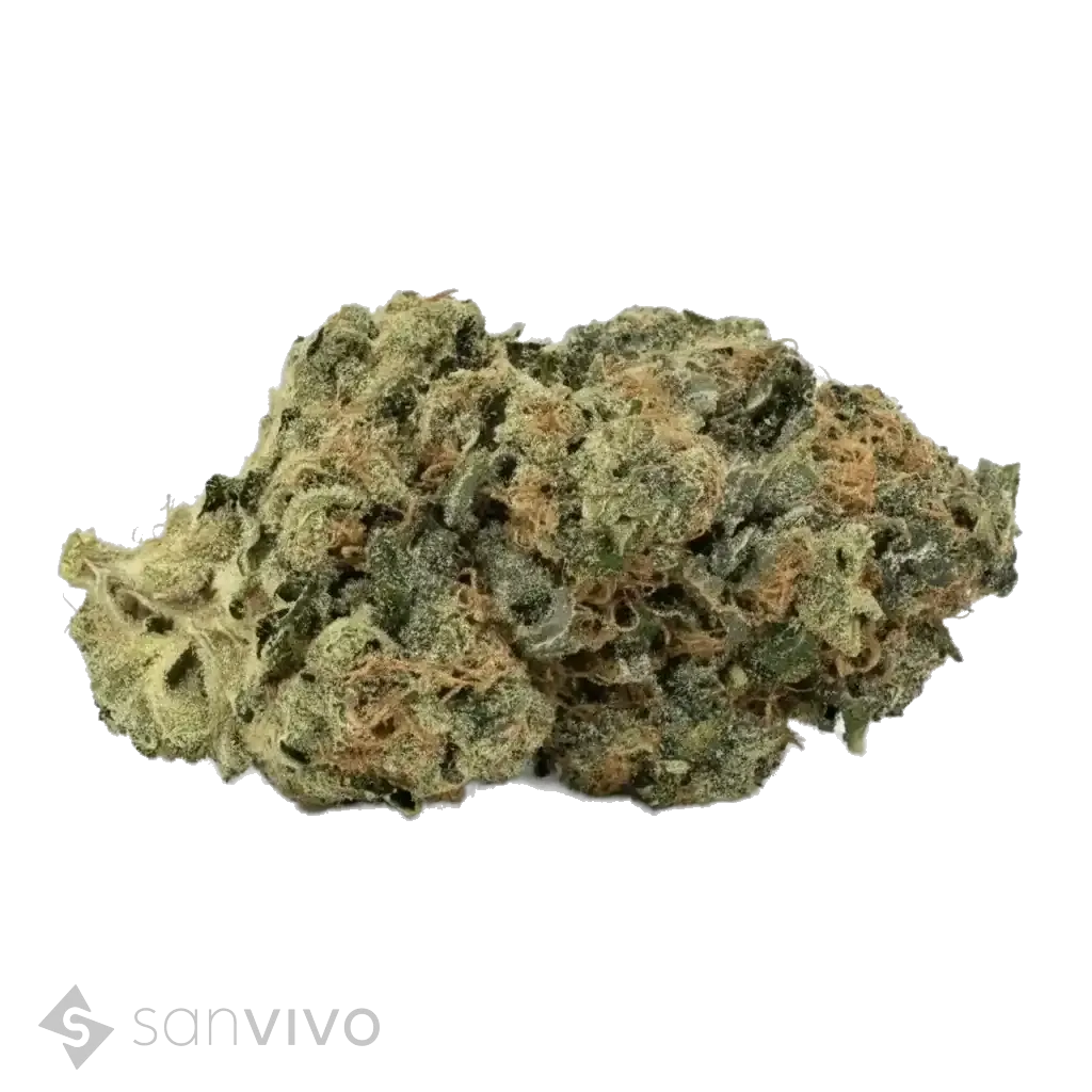 Kokos Cookies strain
