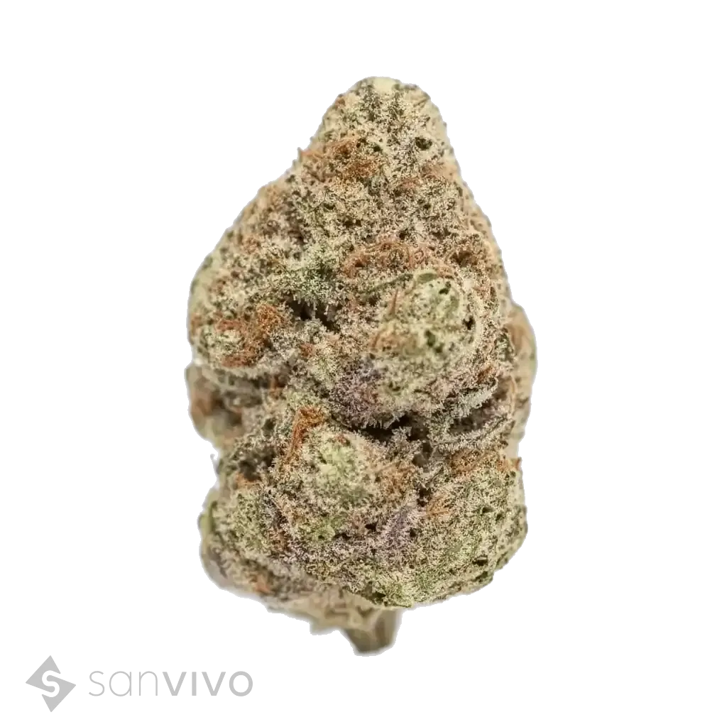 Snowflake strain
