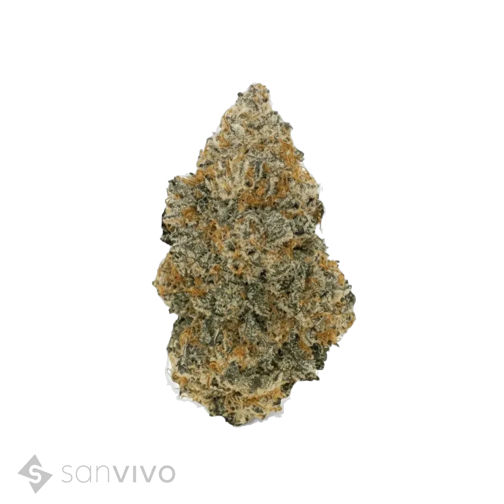 Chapel of Love strain