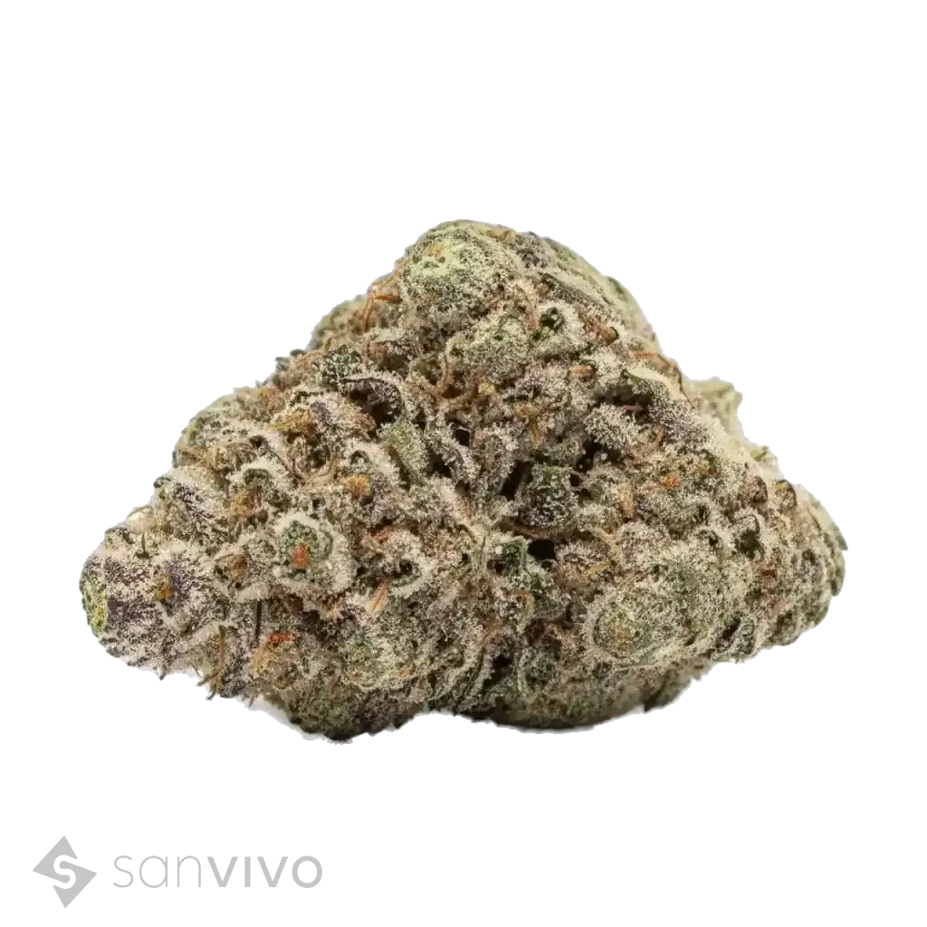 Hifi 4G strain