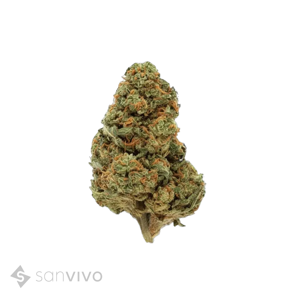 Sour Mango strain