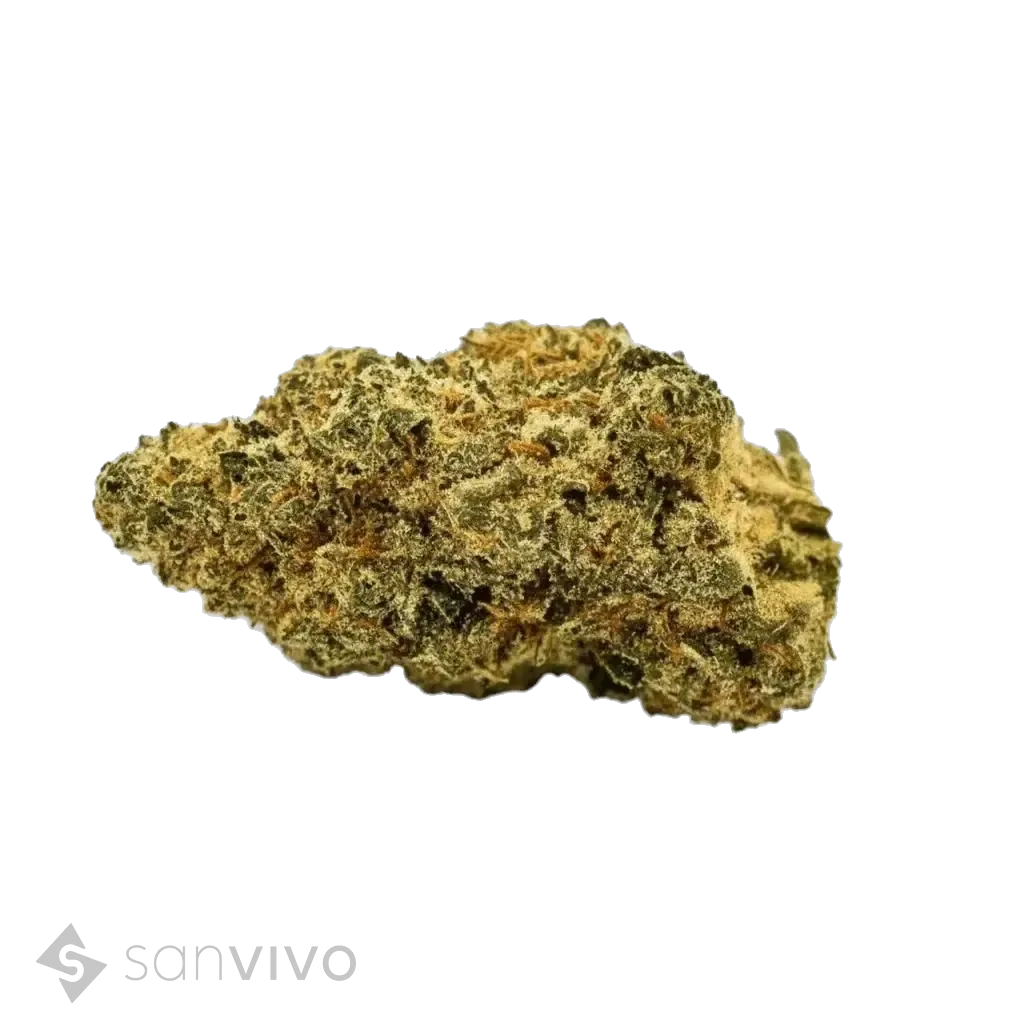 Manantiales strain