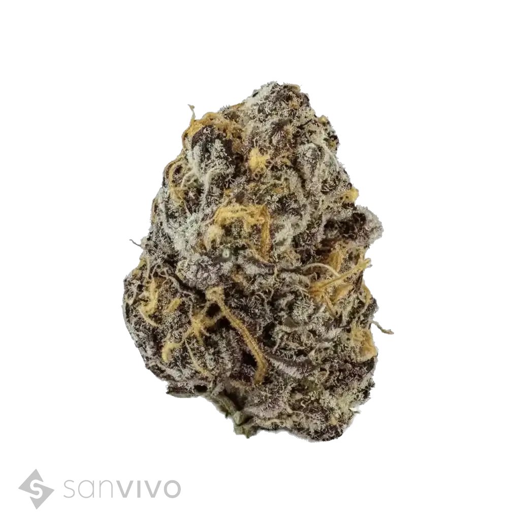 Black Amber strain