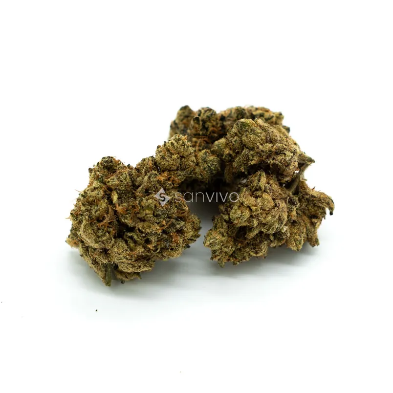 Animal Face strain