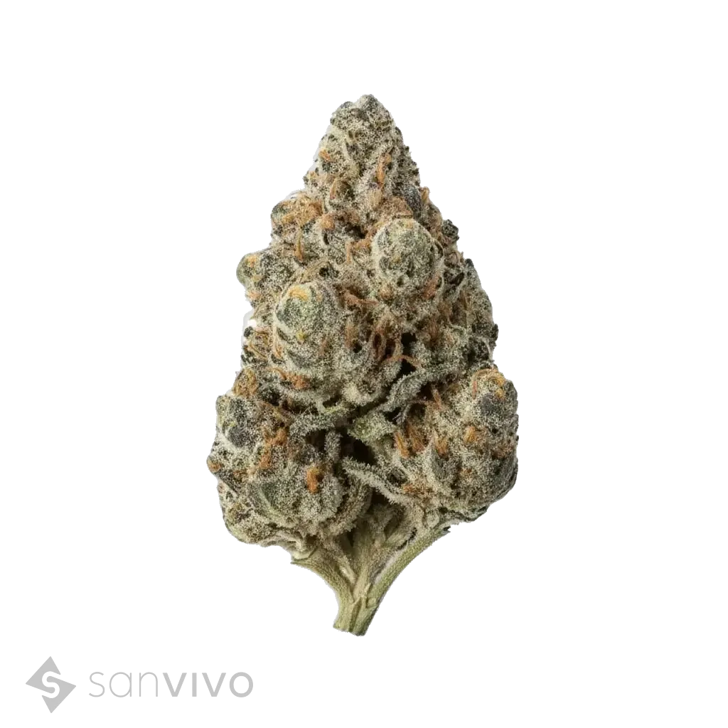 La Kush Cake strain