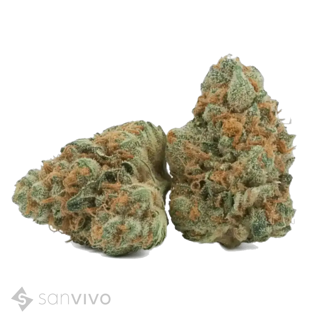 31/1 Peace Naturals GC - GMO Cookies
