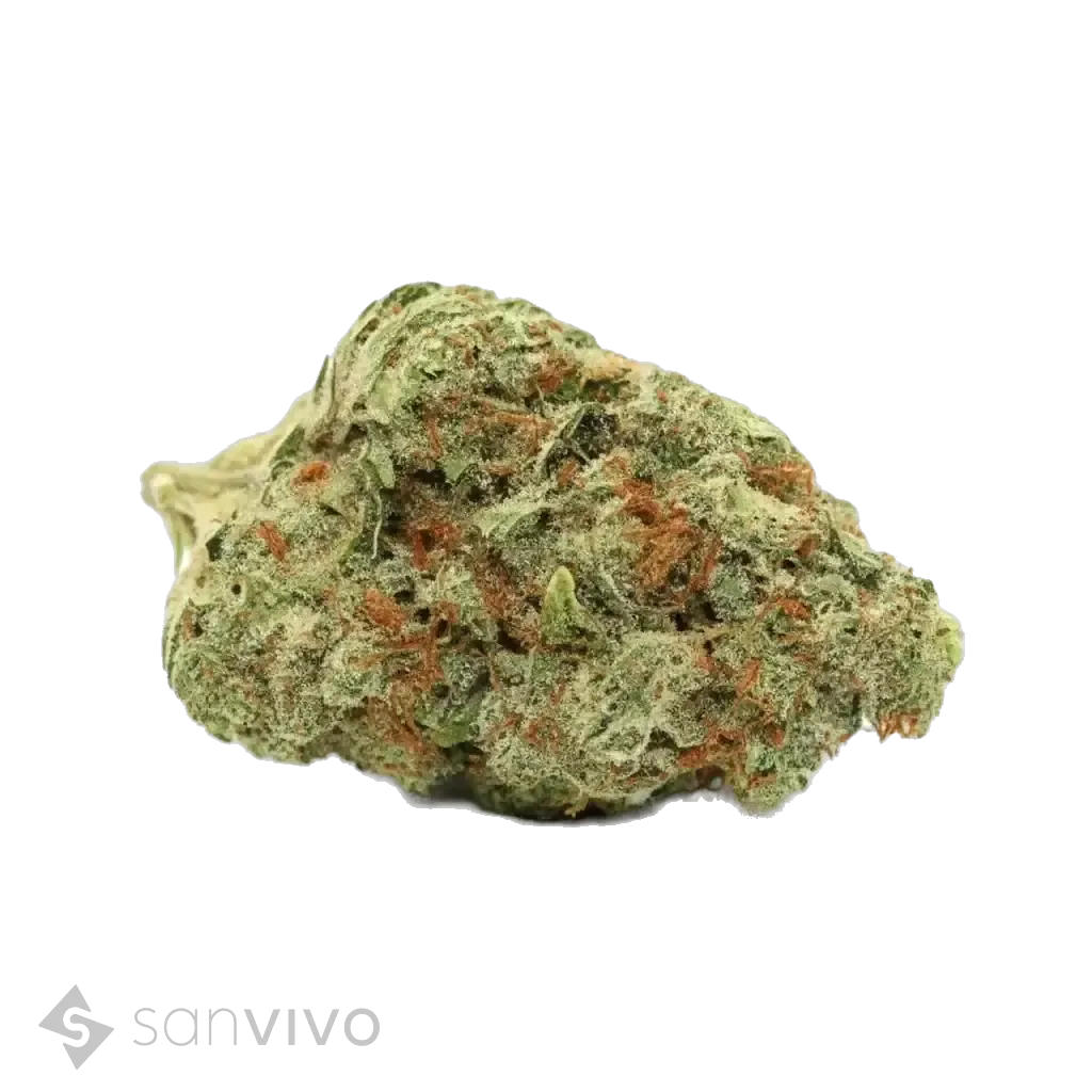 Cannabis 21/1 PRT - BCP