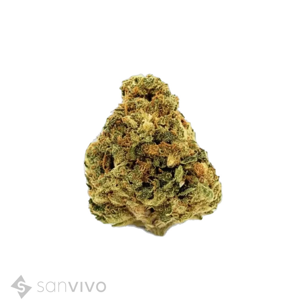 Cannabis 25/1 PRT - SB