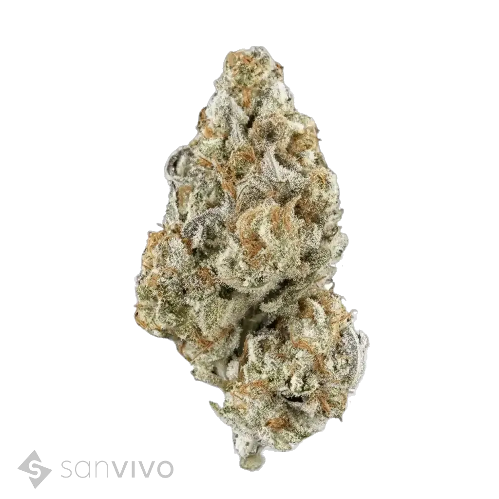 Dark Shadow Haze strain