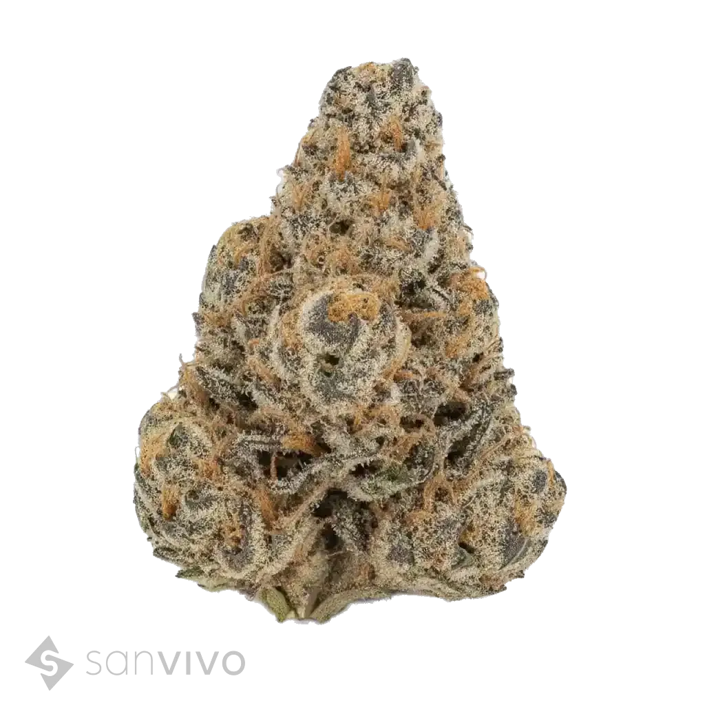 Glitter Bomb strain